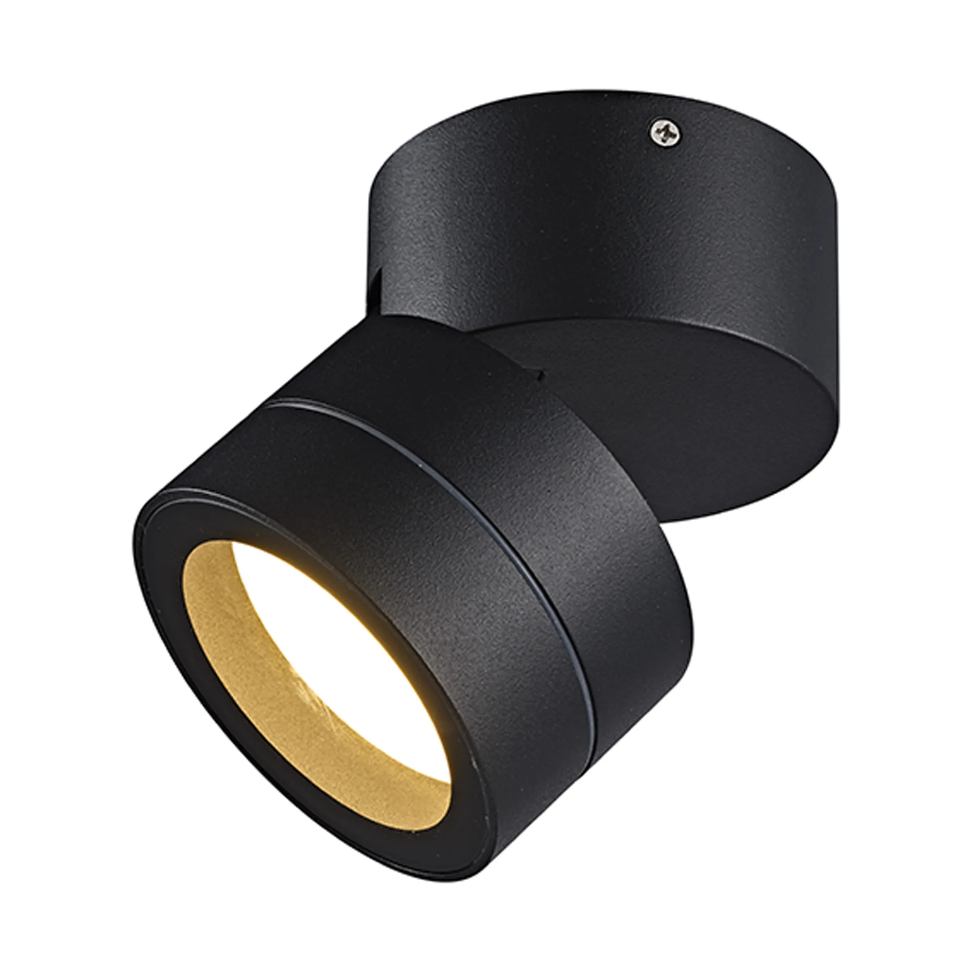 M9102/3000K  Saler Adjustable Ceiling Spotlight/Wall Light, 1 Light, With Replaceable 12W LEDs, 3000K, Rust Brown, IP65